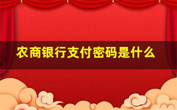 农商银行支付密码是什么