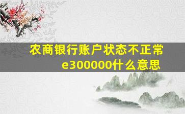 农商银行账户状态不正常e300000什么意思