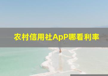 农村信用社ApP哪看利率