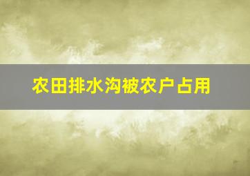 农田排水沟被农户占用