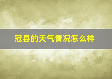 冠县的天气情况怎么样