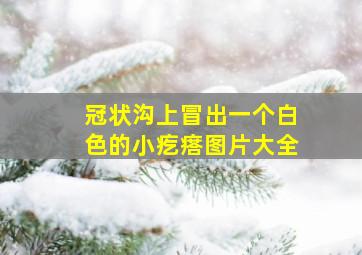 冠状沟上冒出一个白色的小疙瘩图片大全