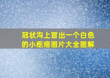 冠状沟上冒出一个白色的小疙瘩图片大全图解