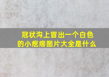 冠状沟上冒出一个白色的小疙瘩图片大全是什么