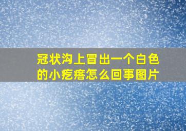 冠状沟上冒出一个白色的小疙瘩怎么回事图片