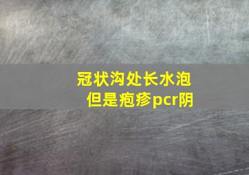 冠状沟处长水泡但是疱疹pcr阴