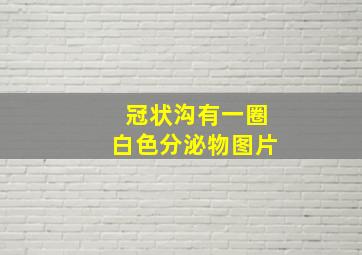 冠状沟有一圈白色分泌物图片