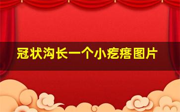 冠状沟长一个小疙瘩图片