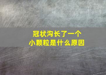 冠状沟长了一个小颗粒是什么原因