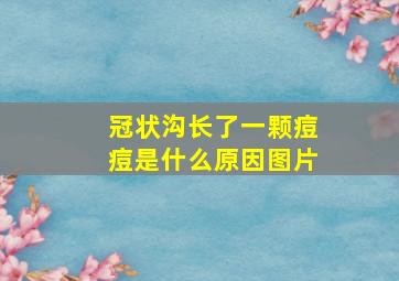 冠状沟长了一颗痘痘是什么原因图片