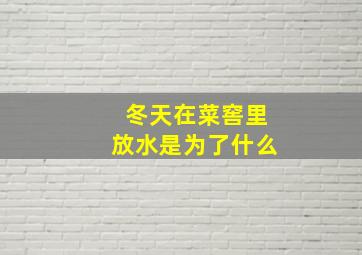 冬天在菜窖里放水是为了什么