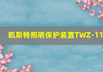 凯斯特照明保护装置TWZ-111