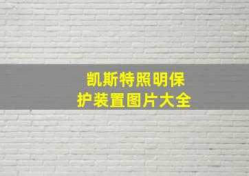 凯斯特照明保护装置图片大全