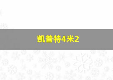 凯普特4米2