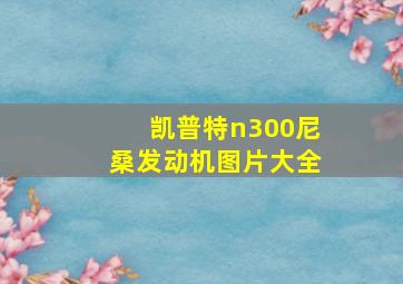 凯普特n300尼桑发动机图片大全