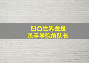 凹凸世界金是杀手学院的队长