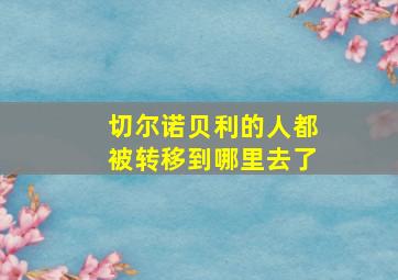 切尔诺贝利的人都被转移到哪里去了