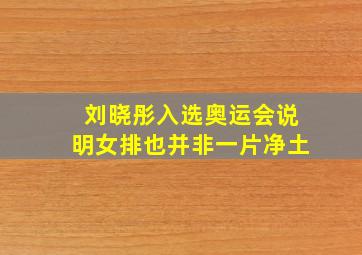 刘晓彤入选奥运会说明女排也并非一片净土