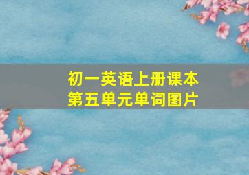 初一英语上册课本第五单元单词图片