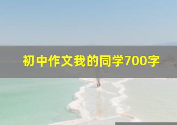 初中作文我的同学700字