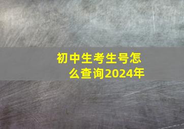 初中生考生号怎么查询2024年