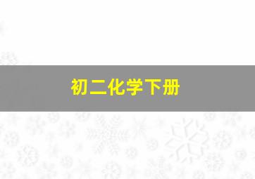 初二化学下册