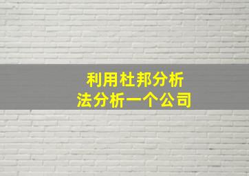 利用杜邦分析法分析一个公司