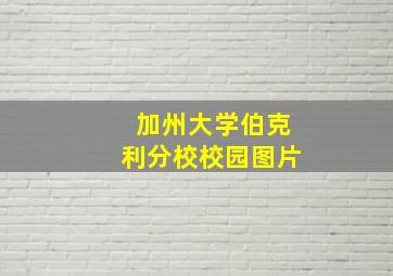 加州大学伯克利分校校园图片