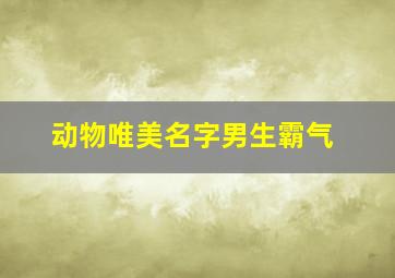 动物唯美名字男生霸气