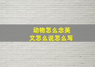 动物怎么念英文怎么说怎么写