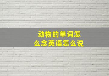 动物的单词怎么念英语怎么说