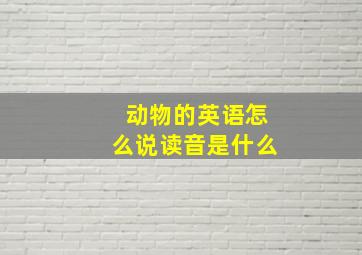 动物的英语怎么说读音是什么