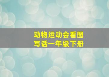 动物运动会看图写话一年级下册