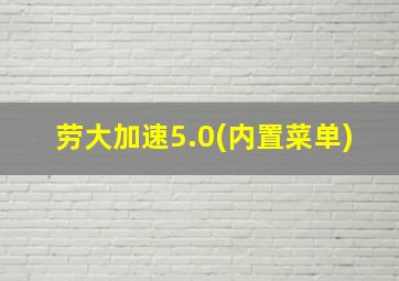 劳大加速5.0(内置菜单)