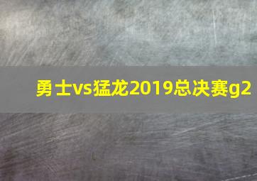 勇士vs猛龙2019总决赛g2