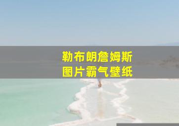 勒布朗詹姆斯图片霸气壁纸