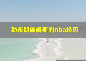 勒布朗詹姆斯的nba经历