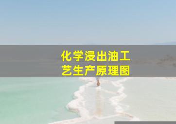 化学浸出油工艺生产原理图