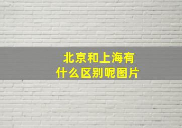 北京和上海有什么区别呢图片