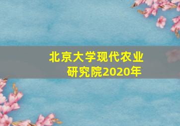 北京大学现代农业研究院2020年