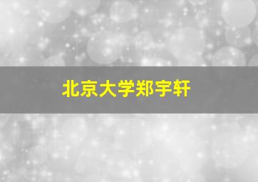 北京大学郑宇轩