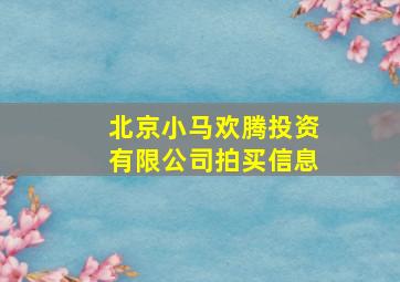 北京小马欢腾投资有限公司拍买信息