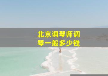 北京调琴师调琴一般多少钱