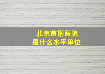 北京首钢医院是什么水平单位