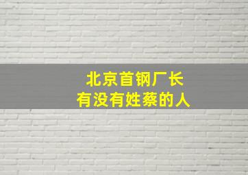 北京首钢厂长有没有姓蔡的人