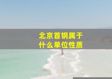 北京首钢属于什么单位性质