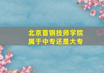 北京首钢技师学院属于中专还是大专