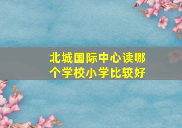 北城国际中心读哪个学校小学比较好