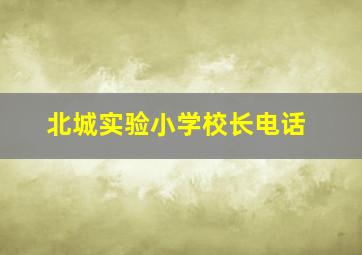 北城实验小学校长电话