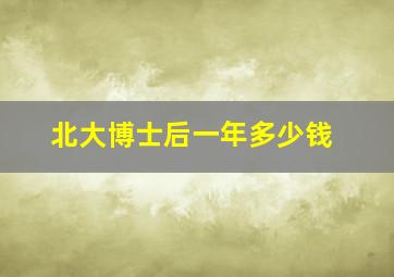 北大博士后一年多少钱